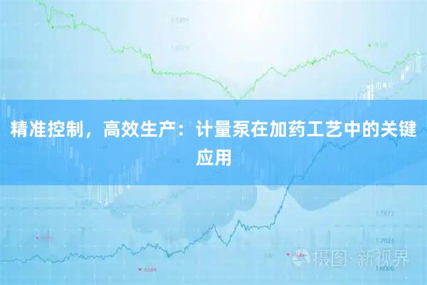 精准控制，高效生产：计量泵在加药工艺中的关键应用