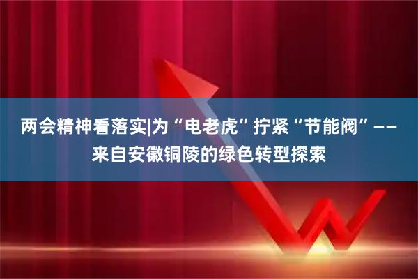 两会精神看落实|为“电老虎”拧紧“节能阀”——来自安徽铜陵的绿色转型探索