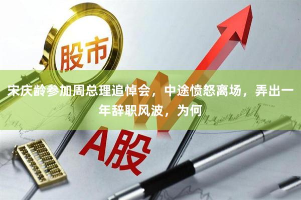 宋庆龄参加周总理追悼会，中途愤怒离场，弄出一年辞职风波，为何