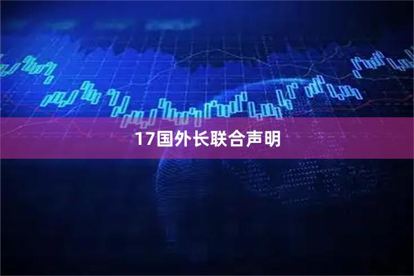 17国外长联合声明