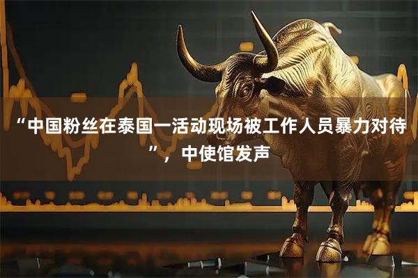 “中国粉丝在泰国一活动现场被工作人员暴力对待”，中使馆发声