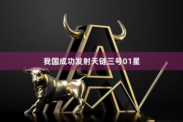 我国成功发射天链三号01星